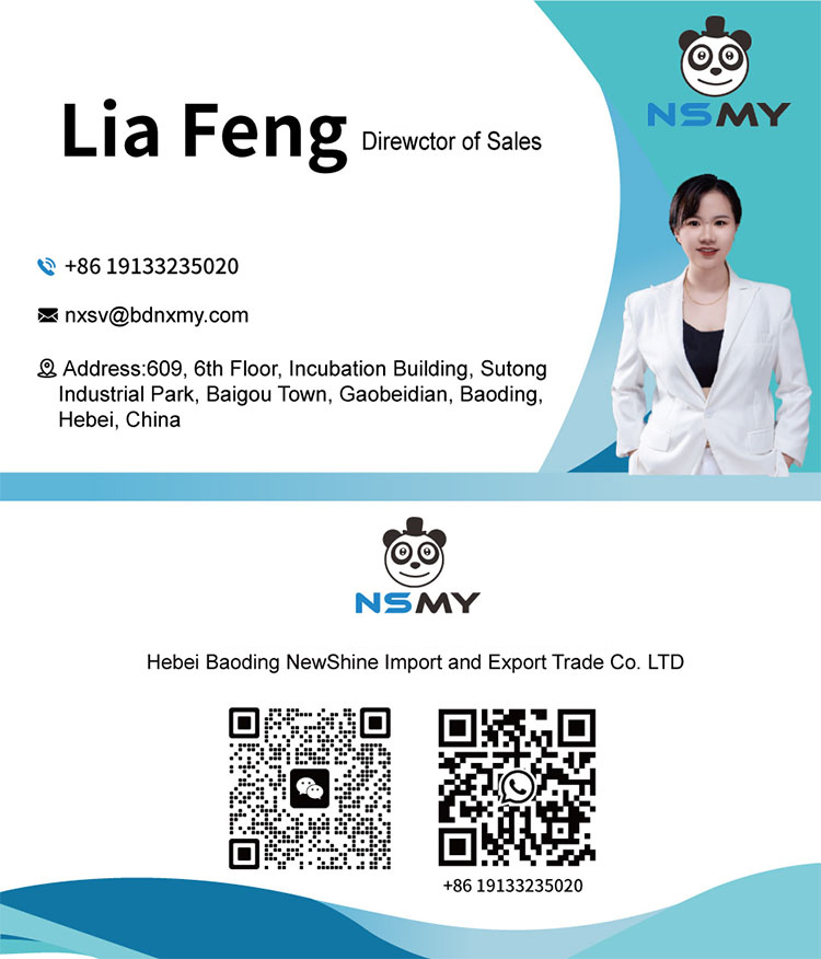 Newshine Baby birthday disposable plate set