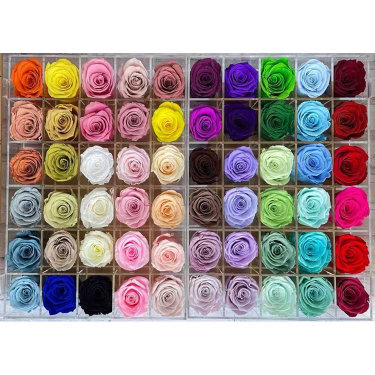 Стабилизированные розы